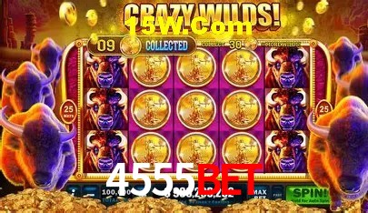 4555bet Salvador - Football